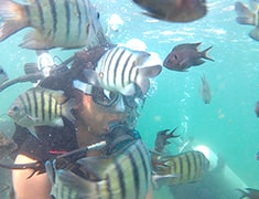 How to Reach Tarkarli | Scuba Diving in Tarkarli | Scuba Diving in Malvan