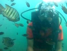 Scuba Diving in Tarkarli | How to Reach Tarkarli | Tarkarli Scuba Diving