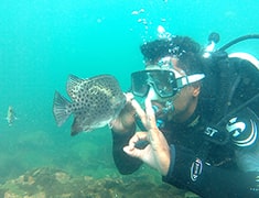 How to Reach Tarkarli | Tarkarli Scuba Diving Charges | Malvan Scuba Diving Packages