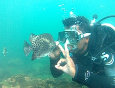 How to Reach Tarkarli | Tarkarli Scuba Diving Charges | Malvan Scuba Diving Packages