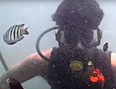 Scuba Diving in Tarkarli | Tarkarli Scuba Diving Charges | Malvan Scuba Diving Packages